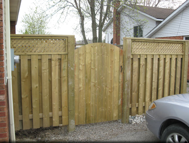New fence & gate to the backyard.